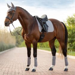Lemieux - Tapis dressage suédine - Gris