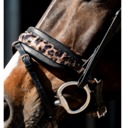 Texte alternatif (Alt Text) : Bridon HB Showtime 354 motif léopard chez Sellerie EHC