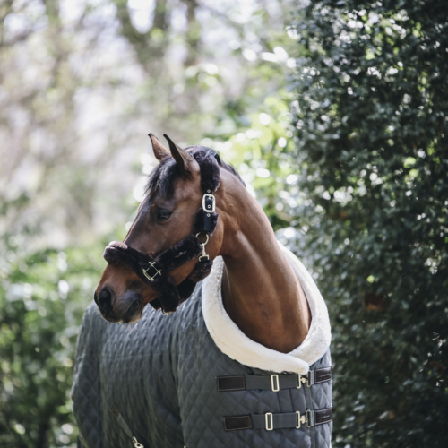 kentucky - SHOW RUG