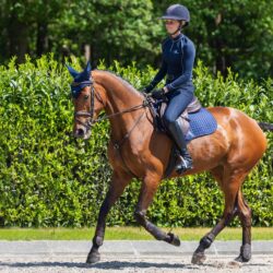 Lemieux - Tapis jumping suèdine - Marine