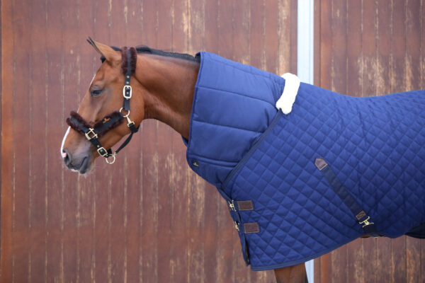 kentucky - Sous-Couverture2