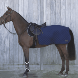 Kentucky - Couvre reins carré 160g - Marine