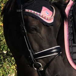 Bonnet classique ou long