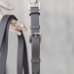 Kentucky - Longe de présentation ( marron)