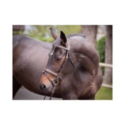 Jump'In - Bridon Week Crystal avec rênes - havane