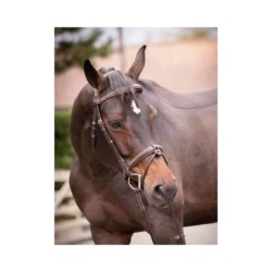 Jump'In - Bridon Week Crystal avec rênes - havane