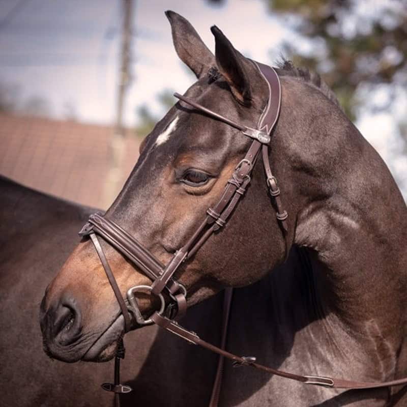 bridon-friday-collection-week-