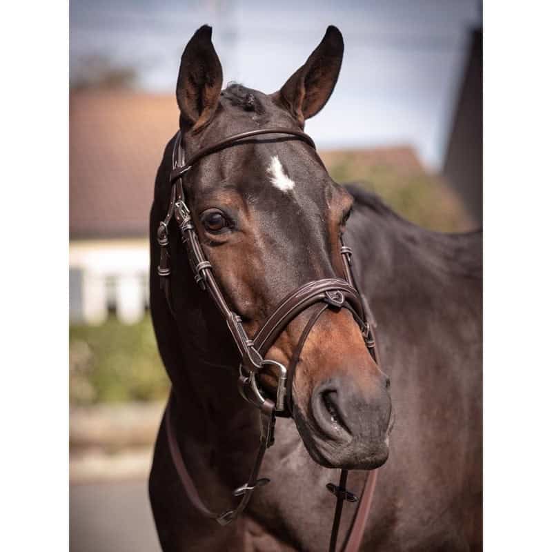 bridon-friday-collection-week- (1)