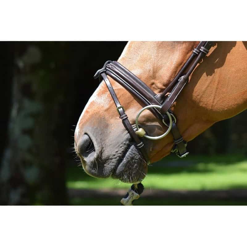 bridon-friday-collection-week- (3)