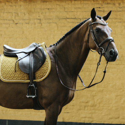 kentucky tapis jumping velvet