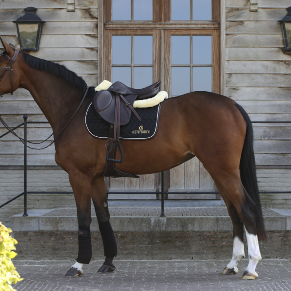 kentucky tapis de selle