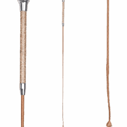 Waldhausen - Stick de dressage Full Diamond or - 120cm