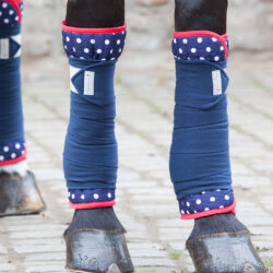 Waldhausen - Sous bande Licorne