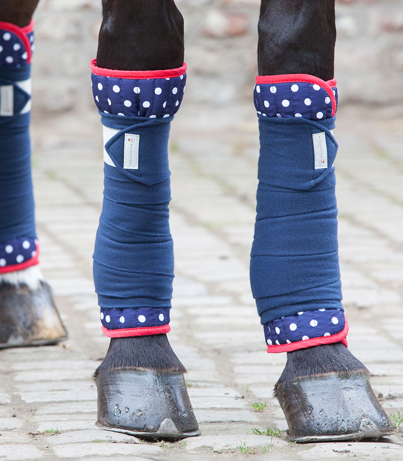waldhausen sous bandes licornes