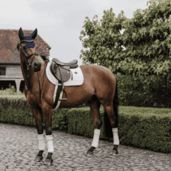 kentucky tapis de jumping wool beige