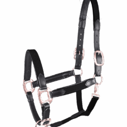 Waldhausen - Licol Star mix - noir / rose gold