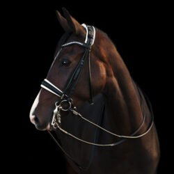 Utzon Equestrian – Bride dressage Edinburg