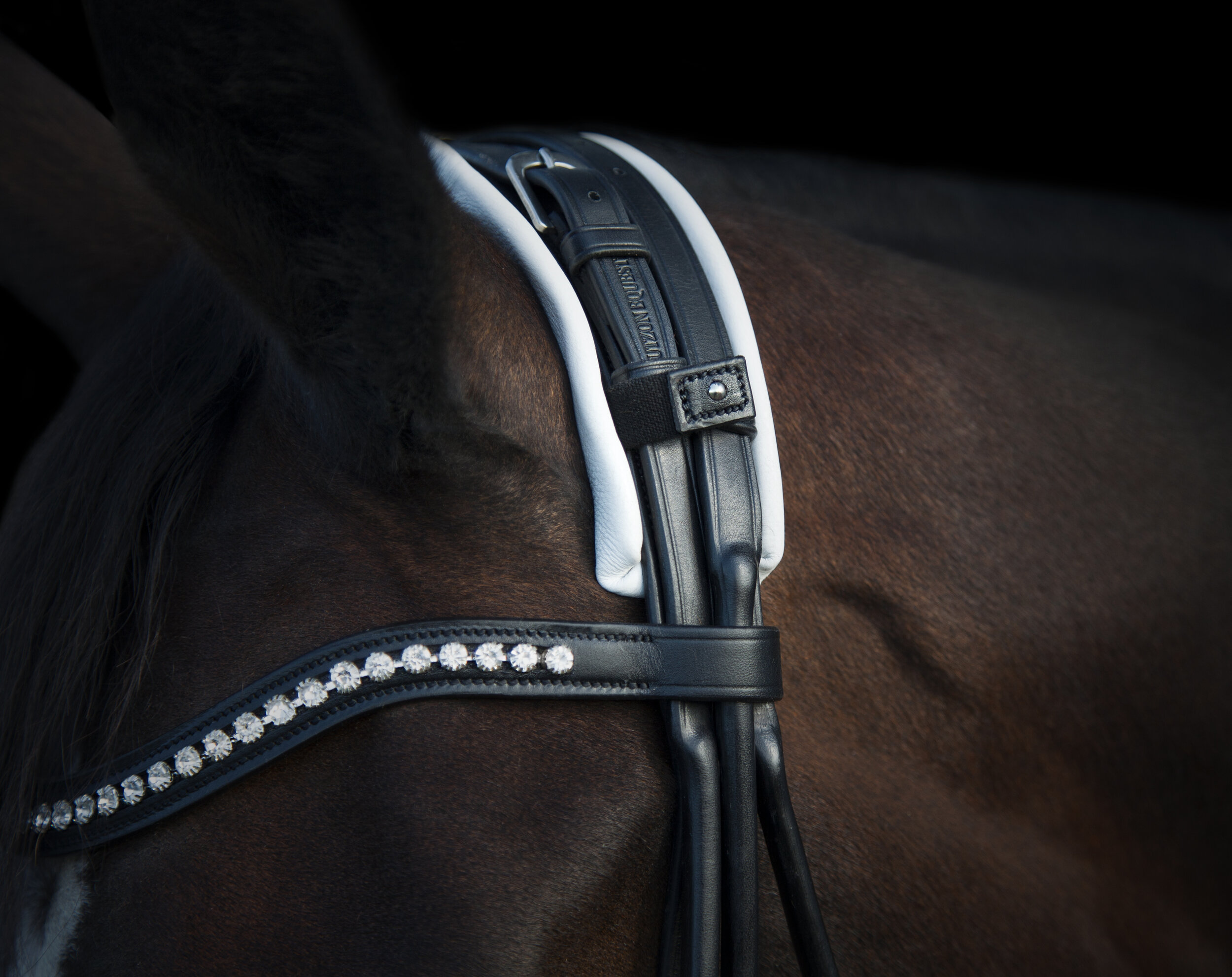 Utzon equestrian Edinburg Double Bridle 5