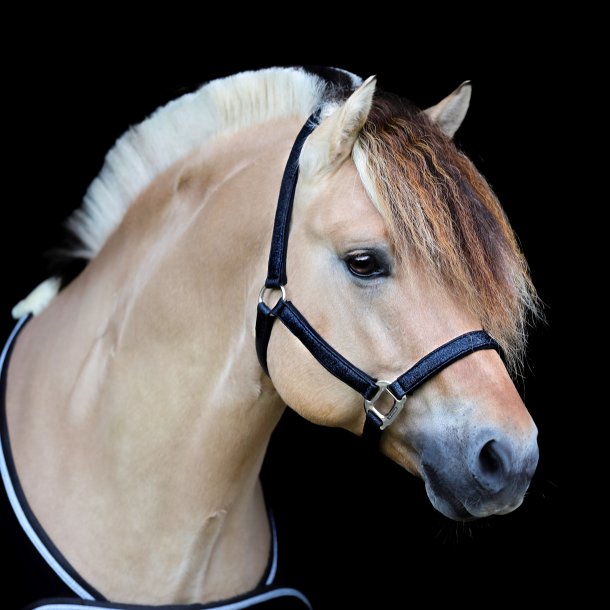 U-146-SD-Hollywood-Glamorous-halter.-Midtnight-Sparkle4-1.w610.h610.backdrop