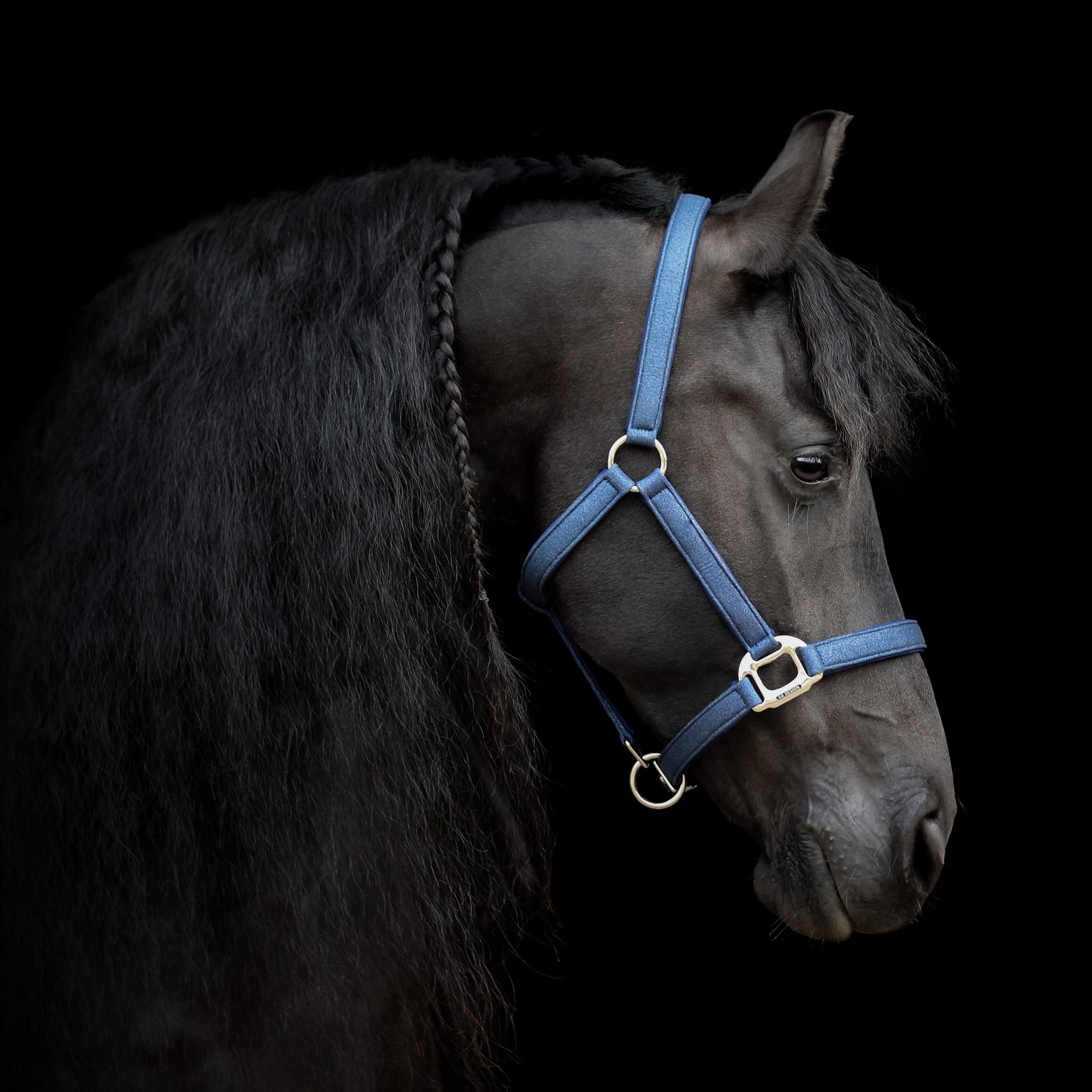 U-147-SD-Hollywood-Glamorous-halter.-Blueberry-Twinkles.4-1