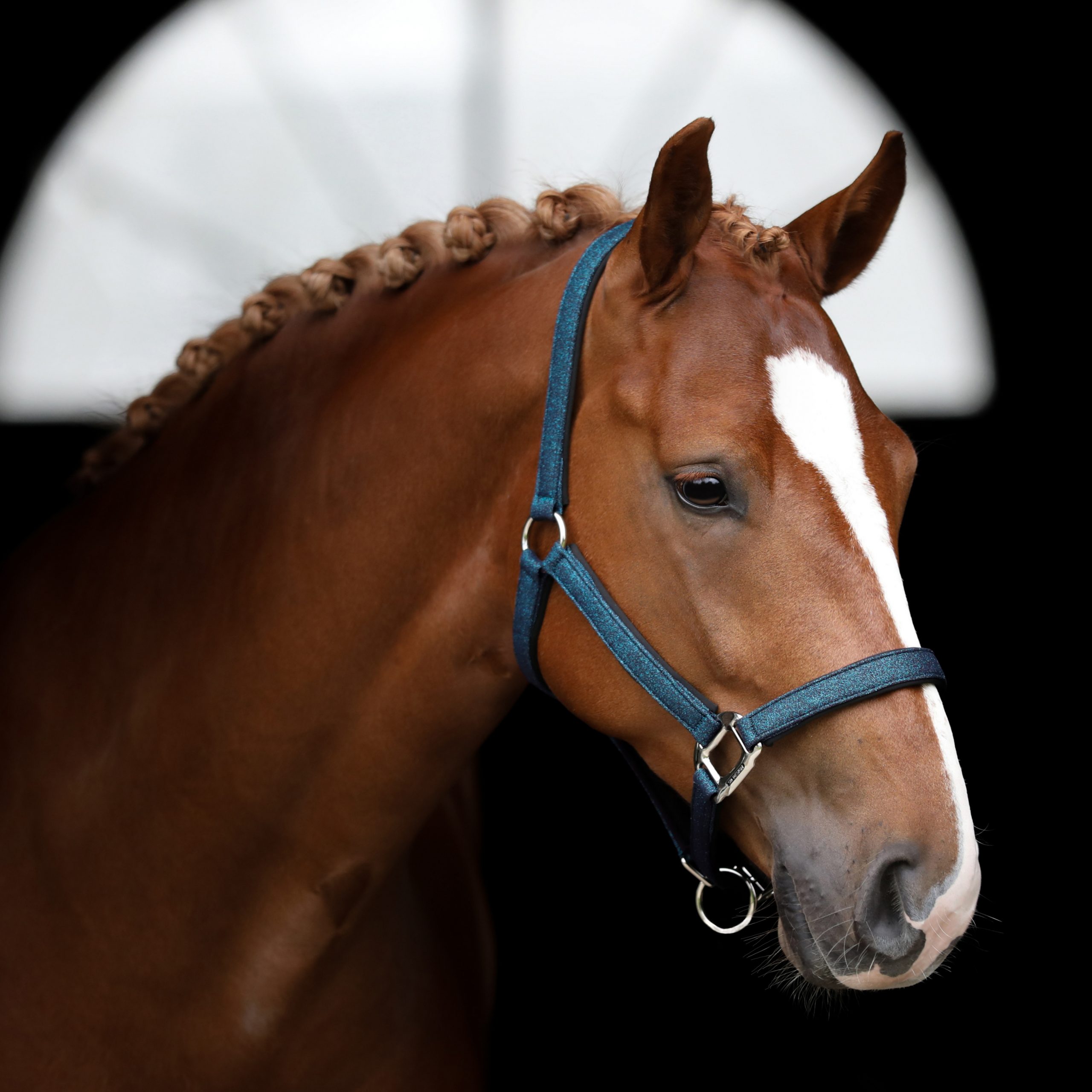 U-148-SD-Hollywood-Glamorous-halter.-Blue-Lagoon-Glitter1