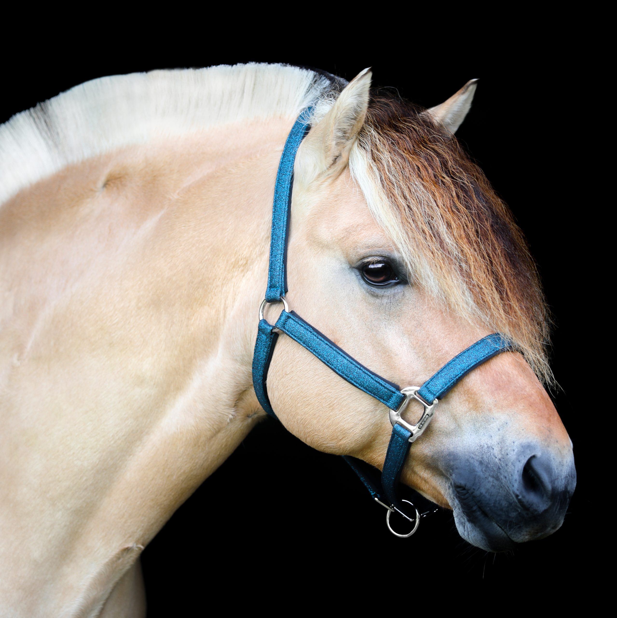 U-148-SD-Hollywood-Glamorous-halter.-Blue-Lagoon-Glitter5-2