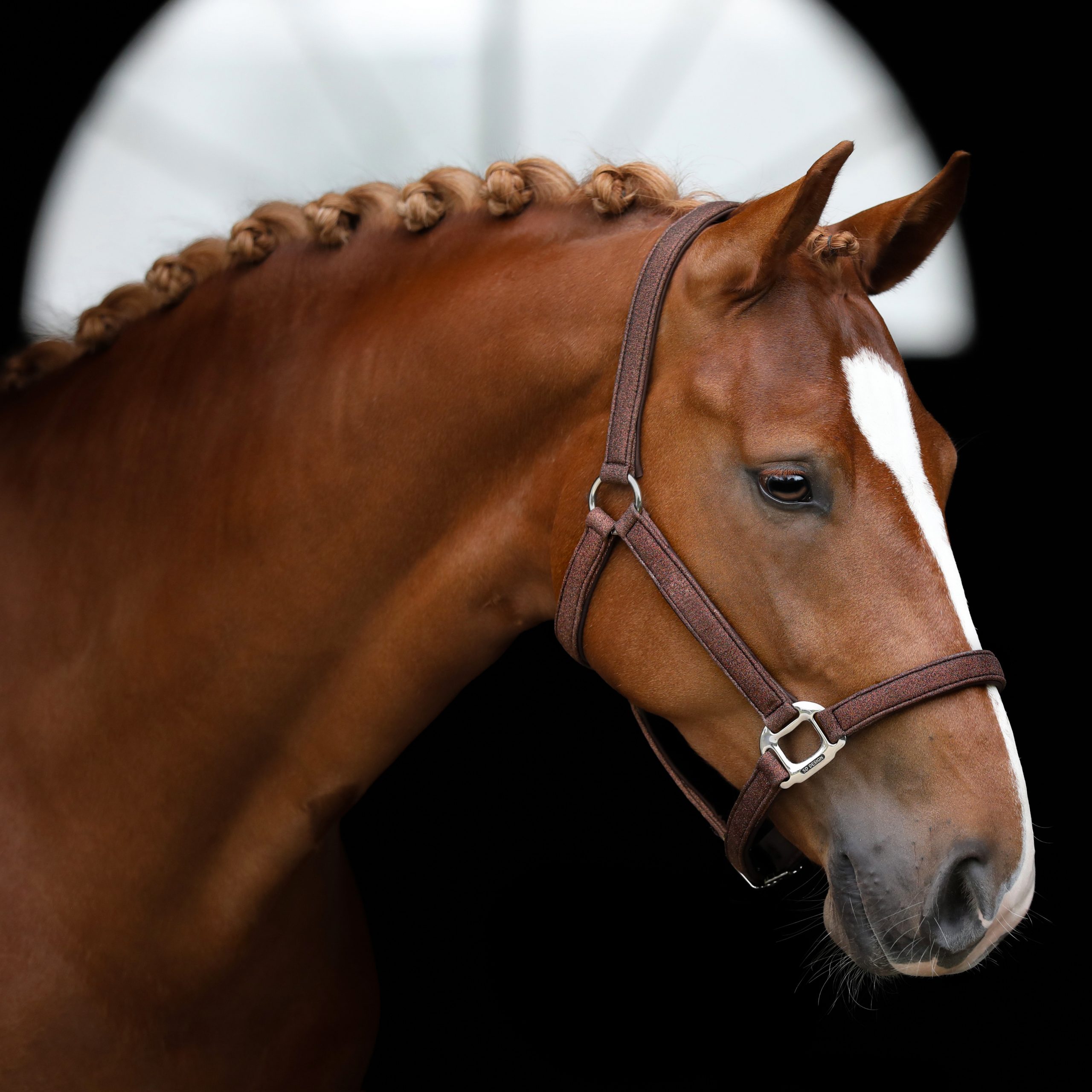 U-149-SD-Hollywood-Glamorous-halter.-Dazzling-Chocolate.4