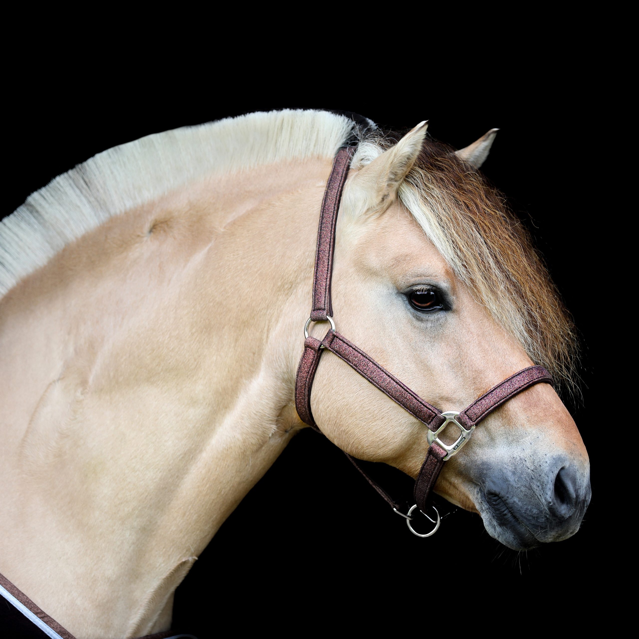 U-149-SD-Hollywood-Glamorous-halter.-Dazzling-Chocolate.5