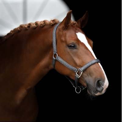 U-150-SD-Hollywood-Glamorous-halter.-Dark-Shadow-Glitz4.w400.h400.backdrop