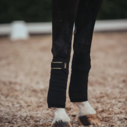 Es - Bandes black gold