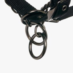 Lemieux - Licol control pro-safe