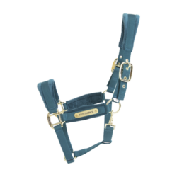 kentucky licol velvet emeraude