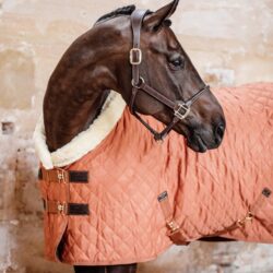 Kentucky - Couverture de présentation 160g - Orange d'automne ( Edition Limitée )