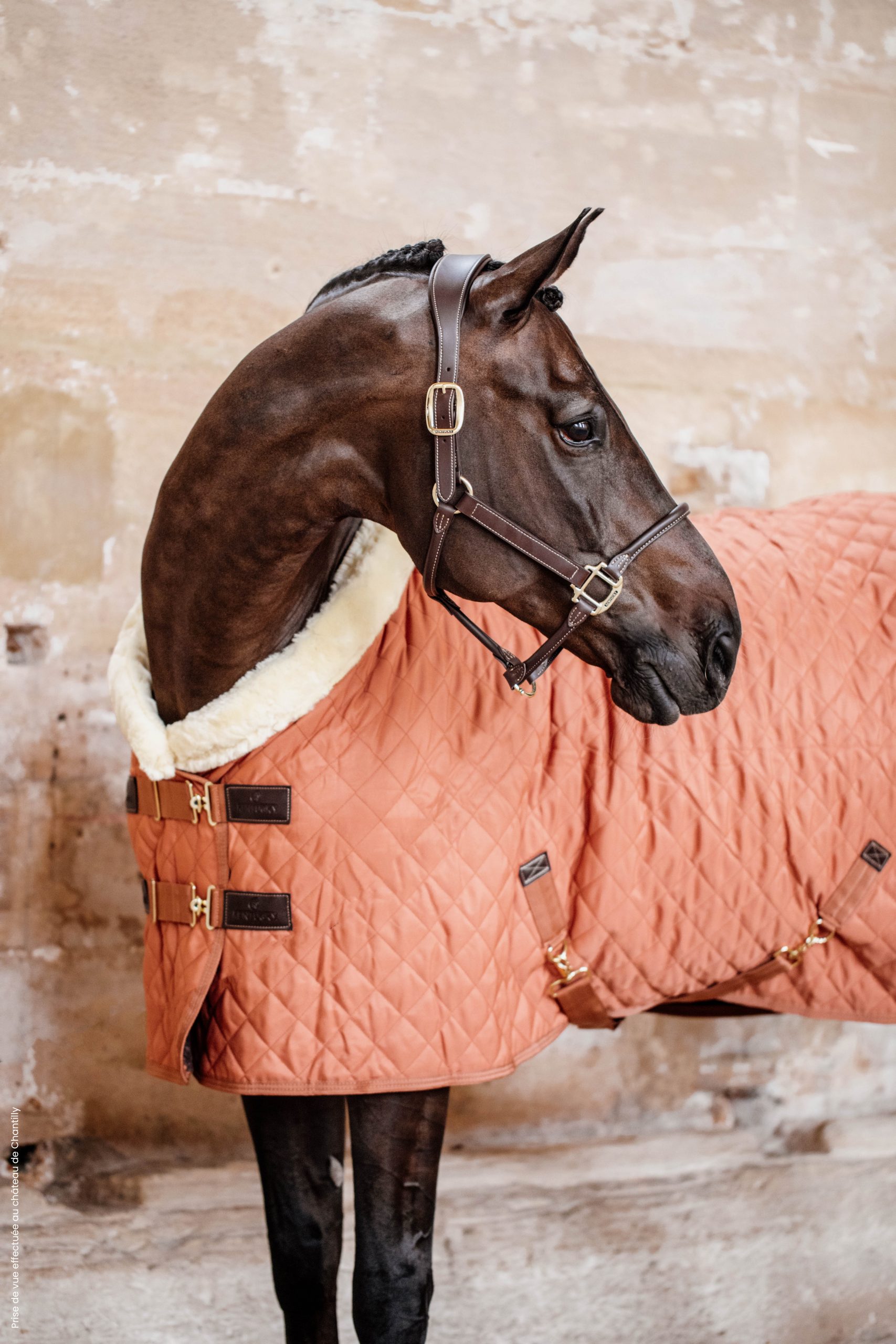 Kentucky - Couverture de présentation 160g - Orange d'automne ( Edition Limitée )