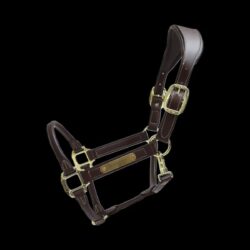 Kentucky - Licol anatomique en cuir