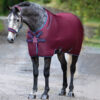 Séchante Rambo Airmax Horseware Disc Front Burgundy Teal Navy pour cheval