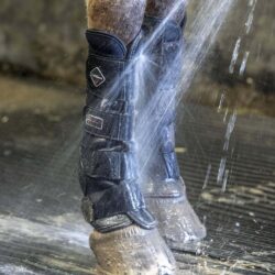 Lemieux - Guêtres de pré noires