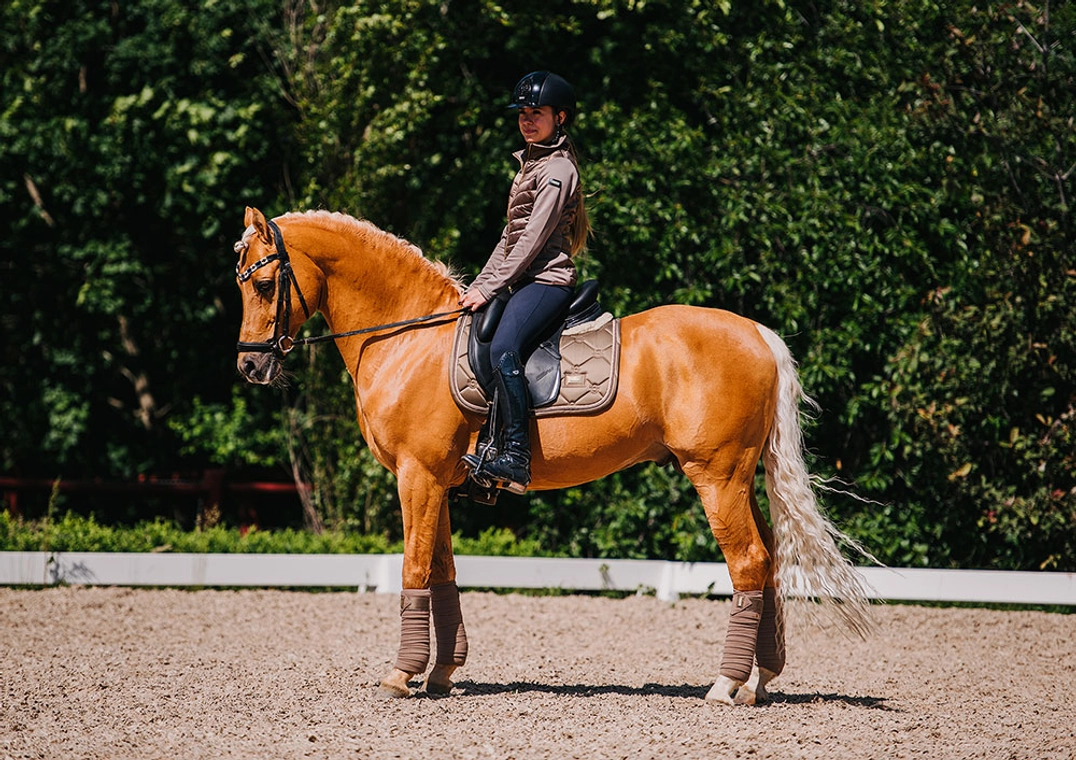 ES - saddle-pad-cob-dressage-champagne-esstockholm-2