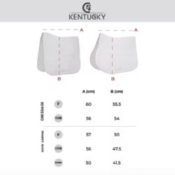 taille tapis kentucky