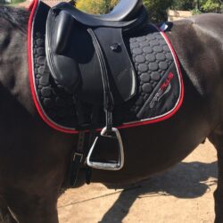 Erreplus - Tapis de dressage - Noir