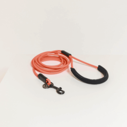 Kentucky- Laisse d'entrainement en caoutchouc souple orange fluo