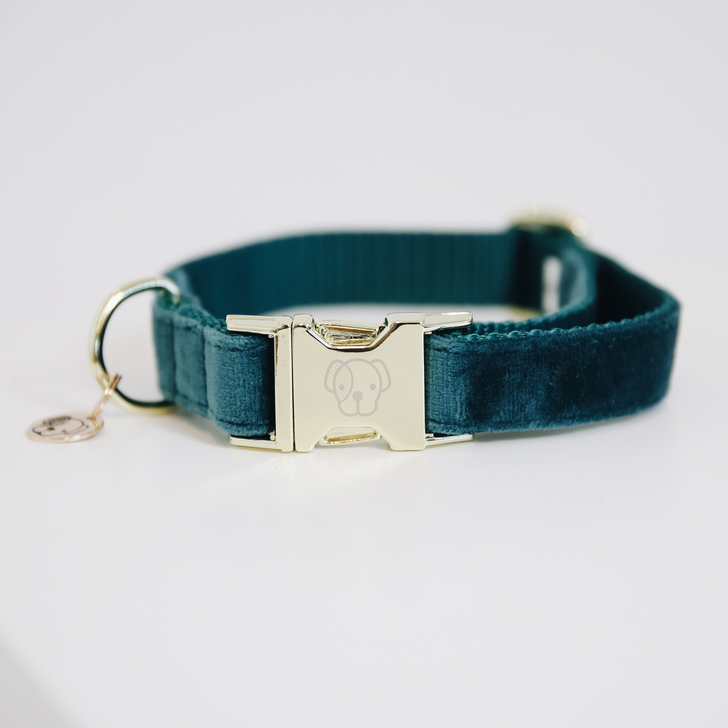 kentucky-dogwear-dog-collars-leads-dog-collar-velvet-emerald-564c22e810080218547dfa1c1093aa08-article-photobook-l