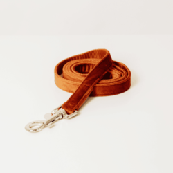 Kentucky - Laisse velvet 1m20  - Orange