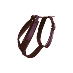Kentucky - Harnais chien actif velvet - Bordeaux