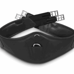 Winderen - Sangle d'obstacle - Noire