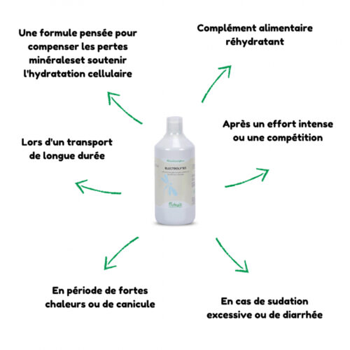 electrolytes-cheval-liquide (1)