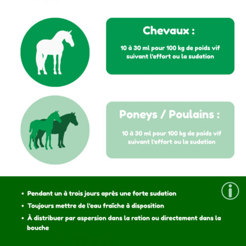electrolytes-cheval-liquide (3)