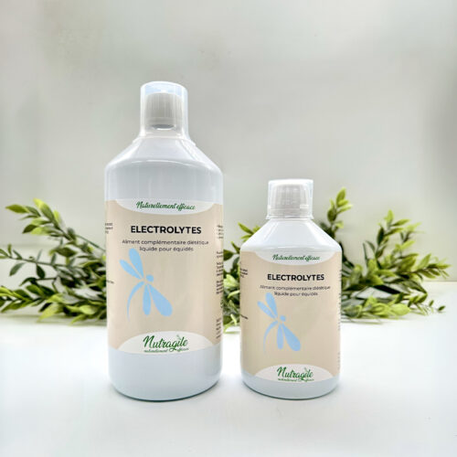 electrolytes-cheval-liquide (5)