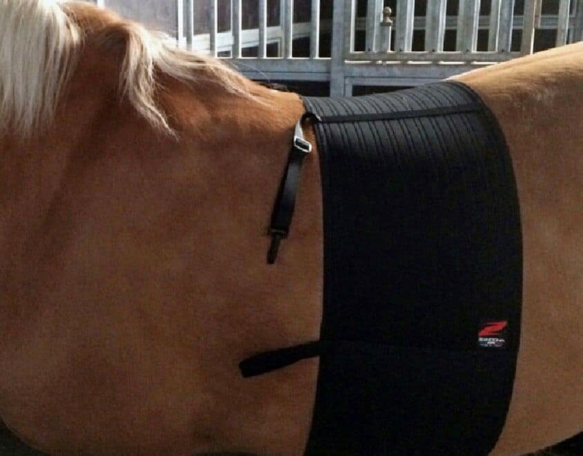 ZANDONA - Safe guard classic