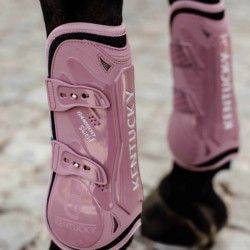 Protections des membres